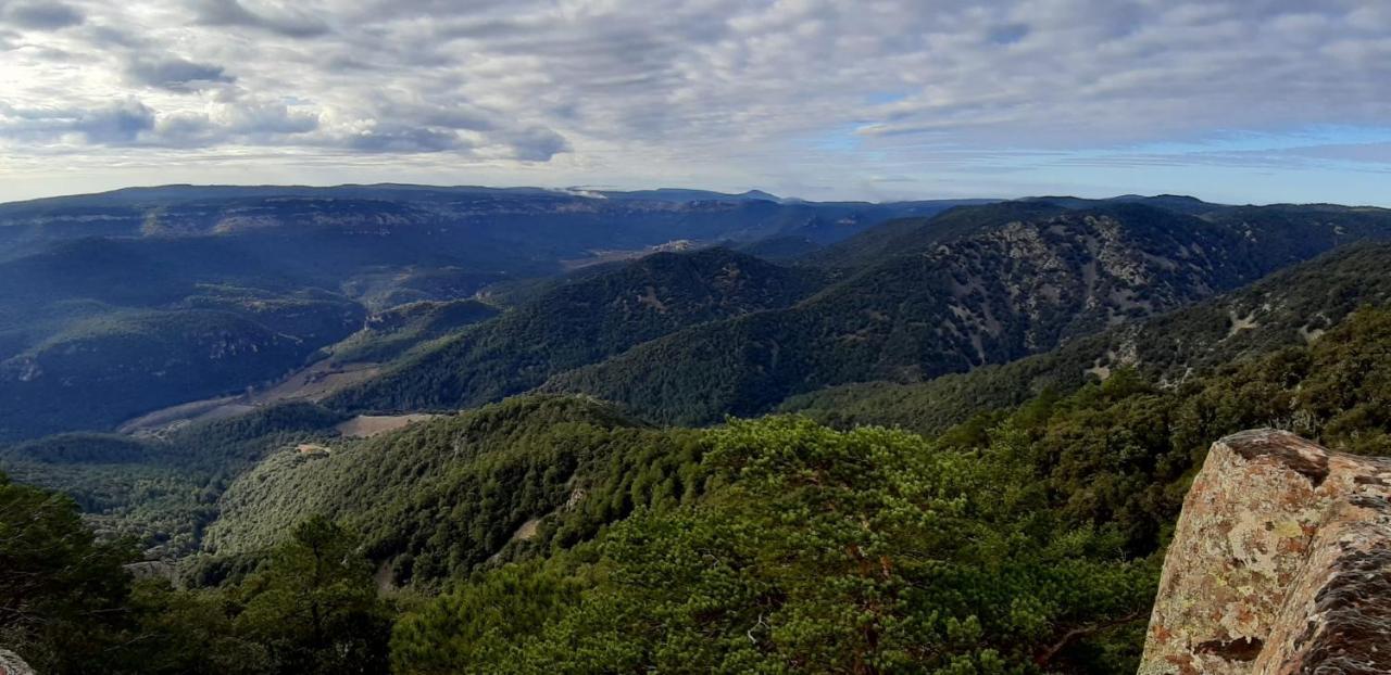 Cal Tous, La Socarrimada Villa Rojals Bagian luar foto